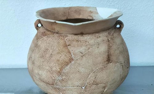 守之世而謂之工 從西周豐鎬陶窯產品之豐富,一睹古代制陶業風采